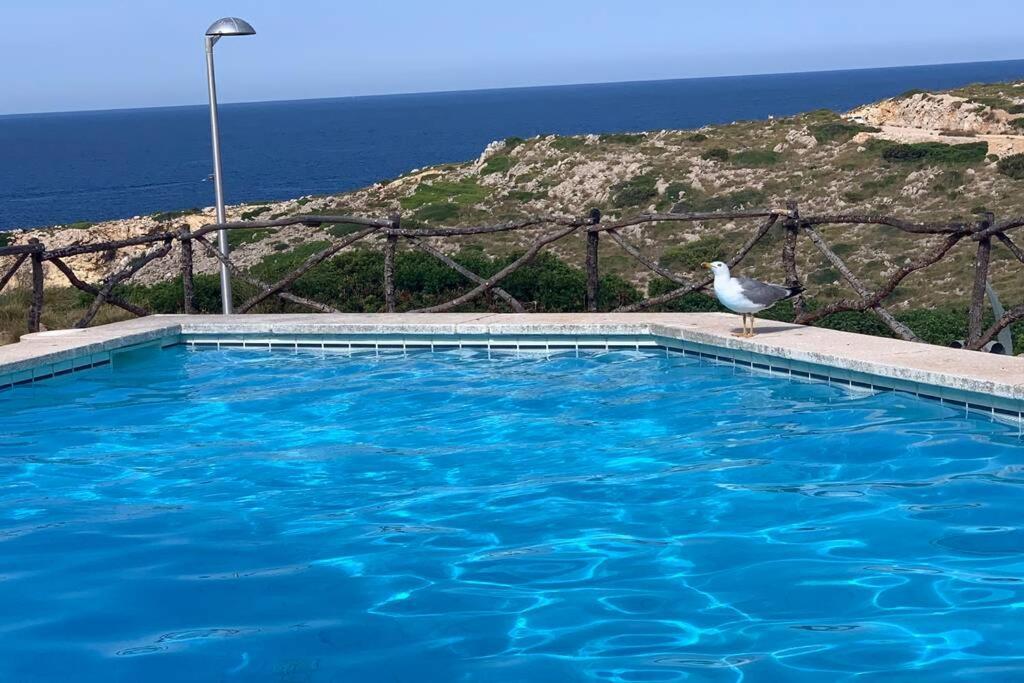 Apartamento A Estrenar Con Vistas Al Mar. Son Parc Buitenkant foto